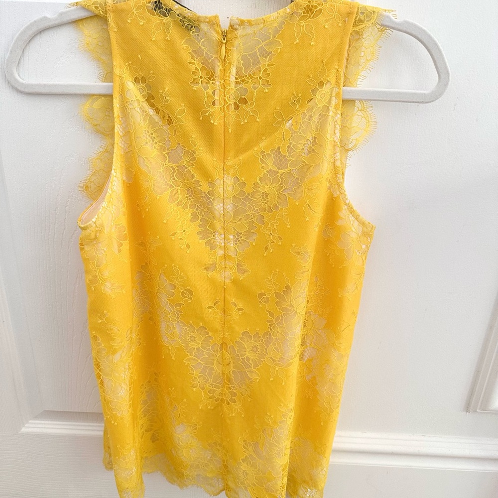 Carven Sunlit Lace Top View 3